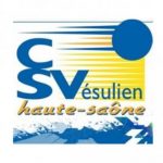 320x320_3cd2a1d4c10a5_logo-csv