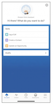 assistant_vocal_einstein